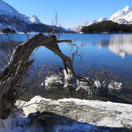 4 Bettwohnung Ueerts By Interhome Apartment Sils im Engadin