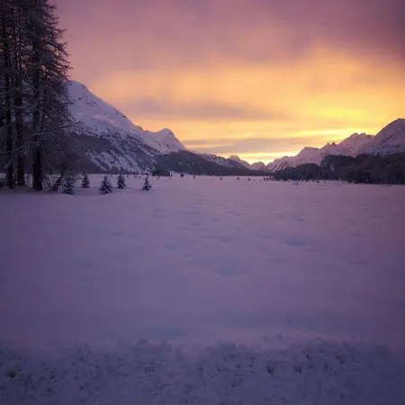 4 Bettwohnung Ueerts By Interhome Apartment Sils im Engadin