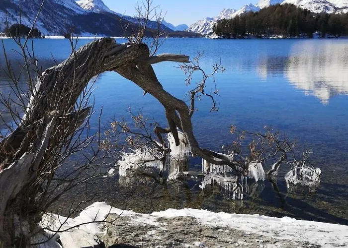 4 Bettwohnung Ueerts By Interhome Apartment Sils im Engadin