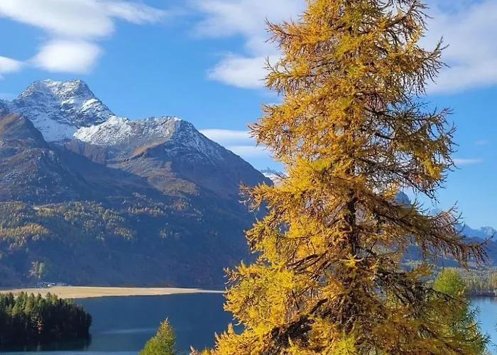 Apartamento 4 Bettwohnung Ueerts By Interhome *