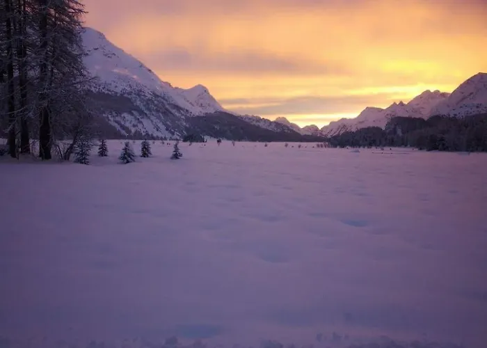 4 Bettwohnung Ueerts By Interhome Apartment Sils im Engadin